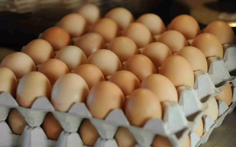 طبق البيض بكام| أسعار البيض الأبيض والبلدي والأحمر اليوم الثلاثاء 21 فبراير ومفاجأة في بيض السمان