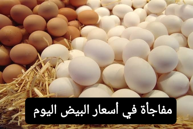 “خالفت كل التوقعات”.. أسعار البيض في الأسواق اليوم الأحد 5 فبراير وتخفيضات وزارة الزراعة