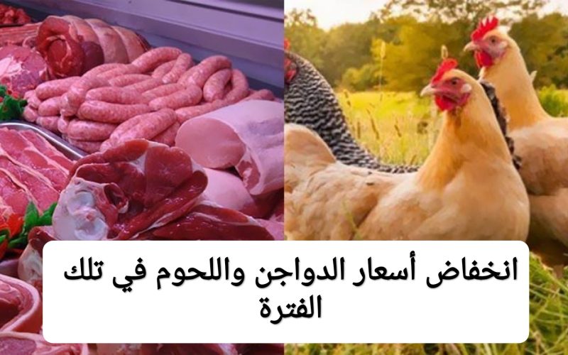 هتقل للنص.. مفاجئة بشأن موعد وقيمة انخفاض أسعار الدواجن واللحوم