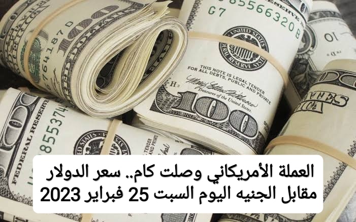 “بكام في البنك”.. سعر الدولار اليوم السبت 25 فبراير 2023 مقابل الجنيه