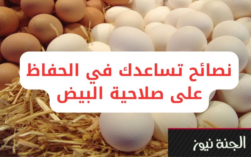 “مينفعش يتغسل نهائي”.. طبيبة تقدم نصائح للحفاظ على صلاحية البيض أطول فترة ممكنة