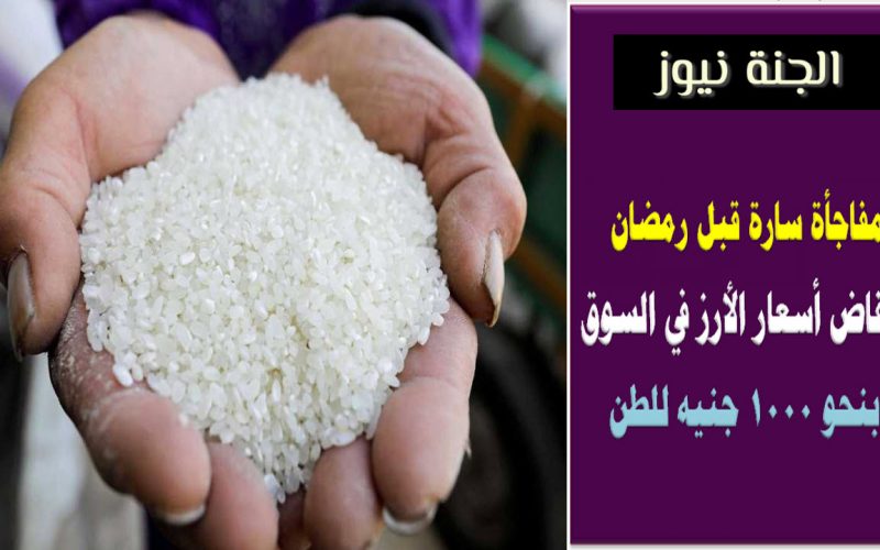 «مفاجأة سارة قبل رمضان» .. انخفاض أسعار الأرز في السوق بنحو 1000 جنيه للطن