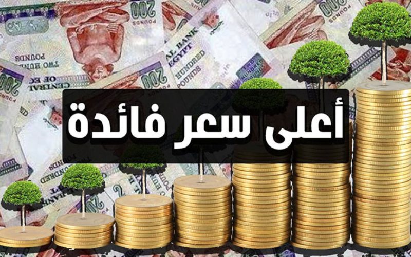 «بالجنيه المصري».. 3 بنوك تطرح شهادات استثمارية بأعلى عائد ادخار في مصر