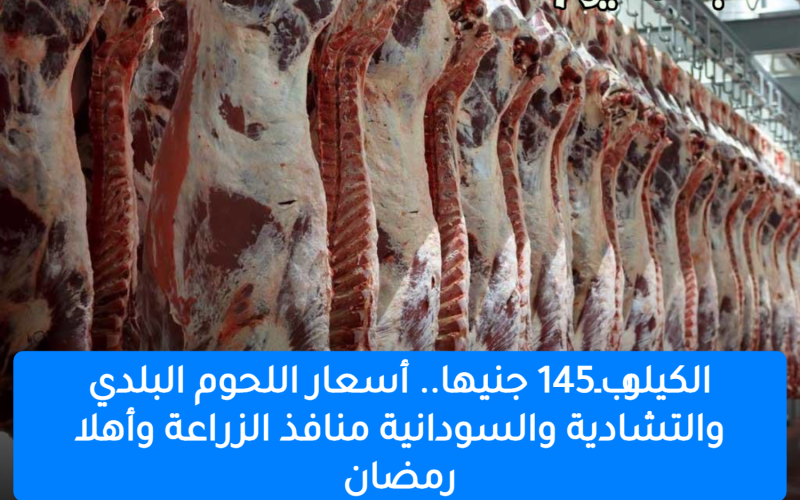 الكيلو بـ145 جنيها.. أسعار اللحوم البلدي والتشادية والسودانية في منافذ الزراعة وأهلا رمضان