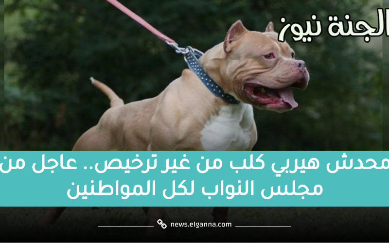 تصل للسجن المؤبد.. الحكومة تُصدر تحذير عاجل بشأن حيازة الحيوانات الخطرة واقتناء الكلاب في مصر