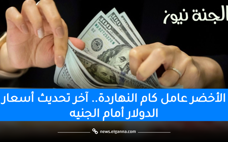 الأخضر عامل كام النهاردة.. آخر تحديث أسعار الدولار أمام الجنيه في المؤسسات والبنوك المصرفية