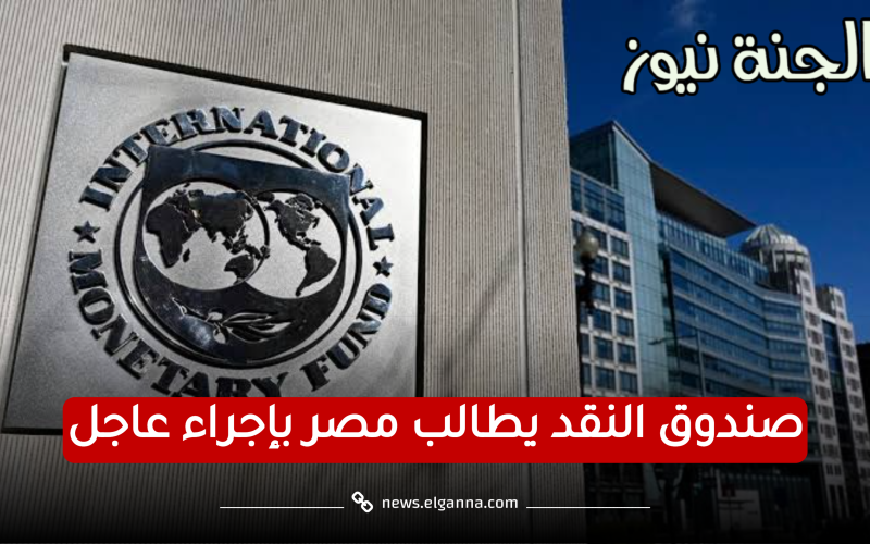 لخفض التضخم.. صندوق النقد الدولي يطالب مصر وتونس بأخذ ذلك الإجراء بشأن أسعار الفائدة