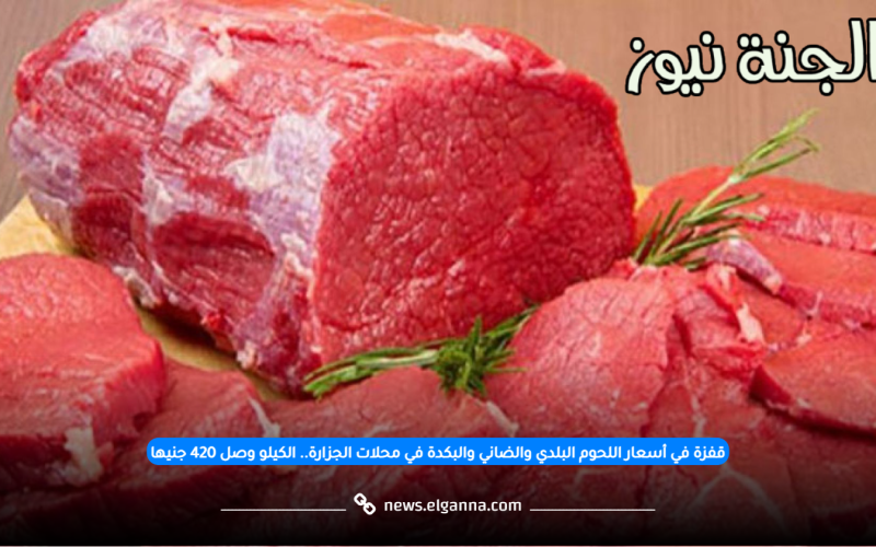 ارتفاع أسعار اللحوم البلدي والضاني والكبدة في محلات الجزارة والكيلو وصل 420 جنيها