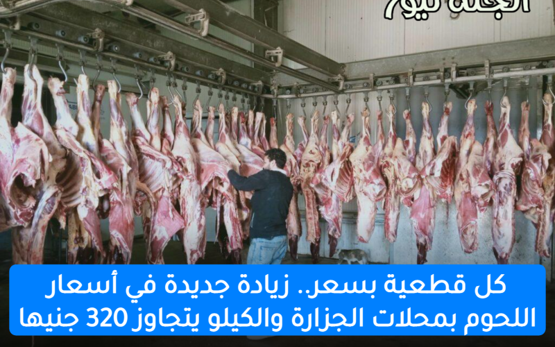 كل قطعية بسعر.. زيادة جديدة في أسعار اللحوم بمحلات الجزارة والكيلو يتجاوز 320 جنيها