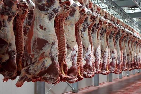 كيلو اللحمة بـ 90 جنيها.. 30% تخفيضات على أسعار اللحوم في منافذ وزارة الزراعة اليوم
