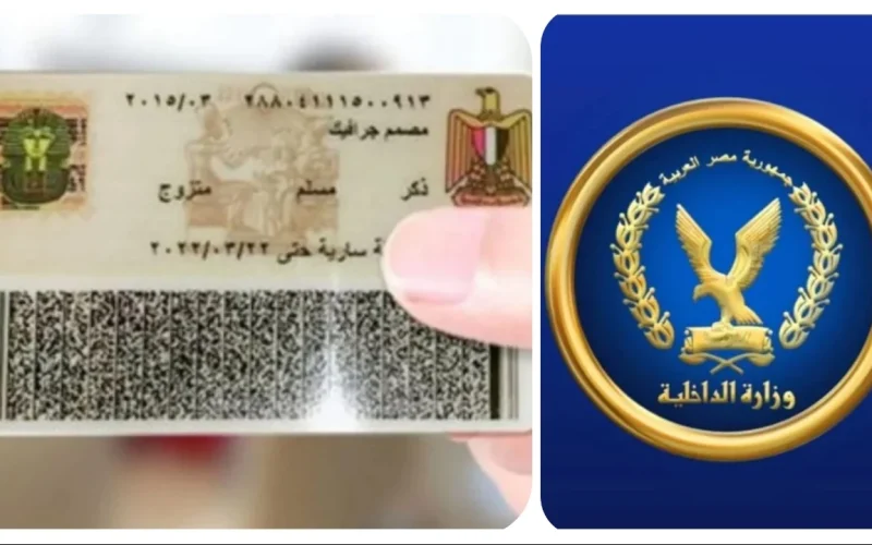 يخص البطاقة الشخصية وشهادة الميلاد.. قرار هام من الداخلية يُسعد ملايين المصريين