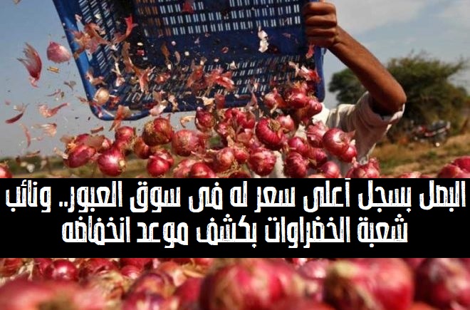 البصل يسجل أعلى سعر له في سوق العبور.. ونائب شعبة الخضراوات يكشف موعد انخفاضه