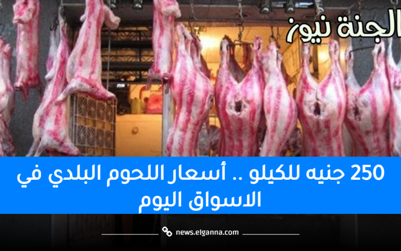 بعد اقتراح غلق الجزارة أسبوعين.. أسعار اللحوم البلدي في الأسواق اليوم