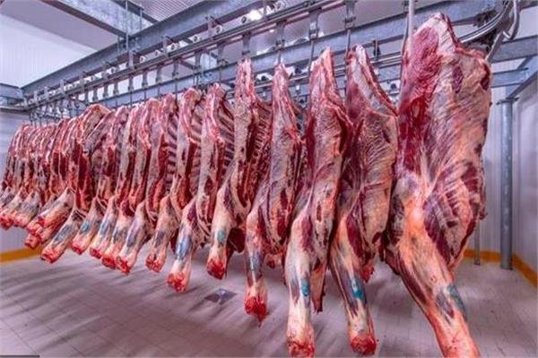 الكندوز وصلت 320 جنيه للكيلو.. أسعار اللحوم اليوم الاثنين 15 مايو 2023