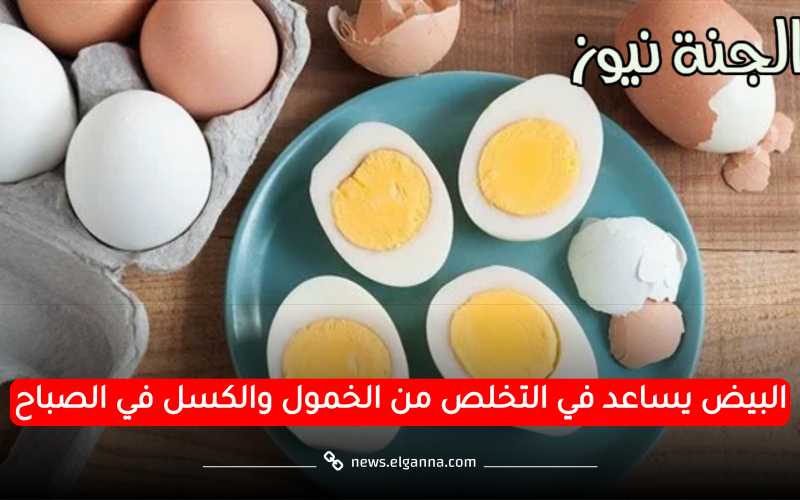 “ماذا يحدث لجسمك عند تناول البيض يوميا؟… تأثيره غير متوقع
