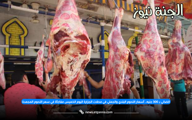 الضاني بـ 300 جنيه.. أسعار اللحوم البلدي والجملي في محلات الجزارة اليوم