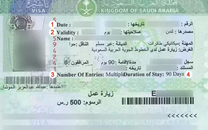 «بشرة خير للمصريين».. «الخارجية السعودية» تعلن كيفية الاستعلام عن التأشيرة الإلكترونية