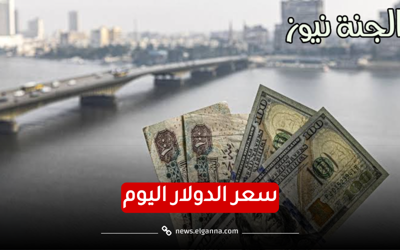 بكام في البنك؟.. سعر الدولار مقابل الجنيه المصري اليوم الأربعاء 10 مايو 2023 بالبنوك