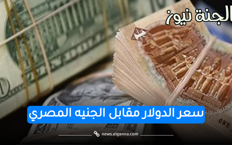 في ختام التعاملات.. سعر الدولار مقابل الجنيه المصري بالبنوك