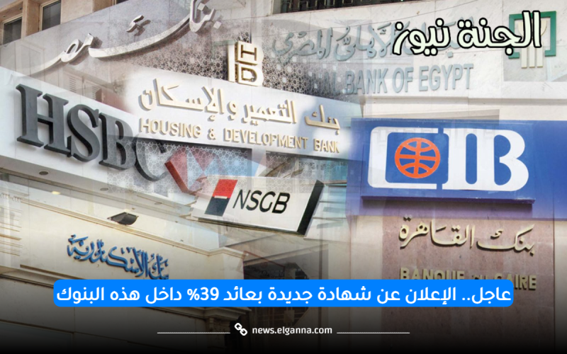 تصل لـ39%.. تفاصيل أعلى شهادة إدخار بفائدة غير مسبوقة داخل البنوك المصرية