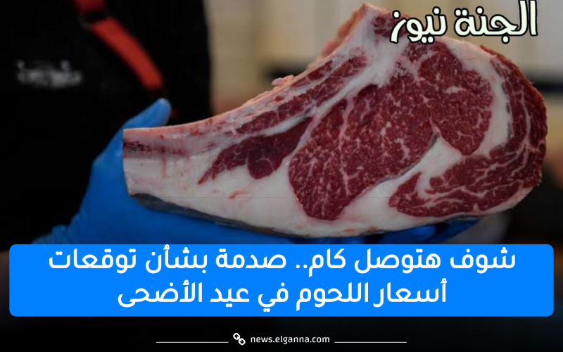 هتوصل كام في العيد؟.. شعبة القصابين تصدم المواطنين بشأن أسعار اللحوم في عيد الأضحى