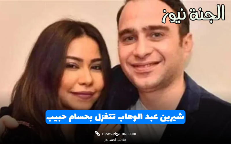 سندي وضهري وأهلي كلهم.. شيرين عبد الوهاب تتغزل بحسام حبيب
