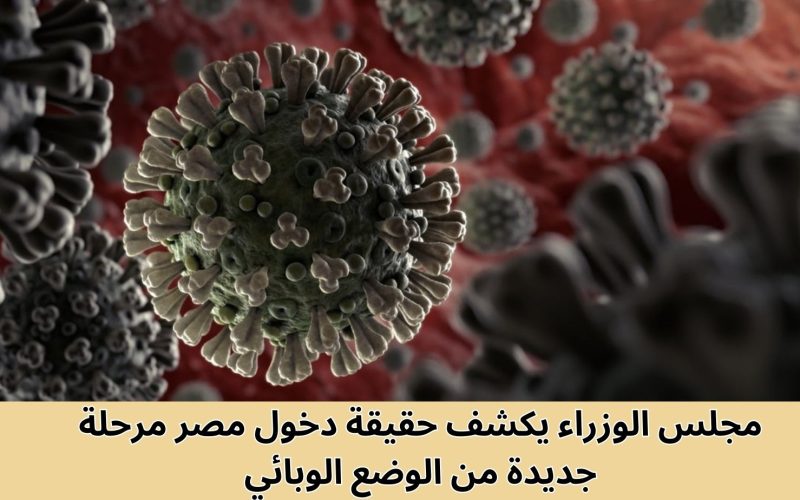 مجلس الوزراء يكشف حقيقة تعرض مصر لموجة وبائية جديدة ويوجه رسالة للمواطنين