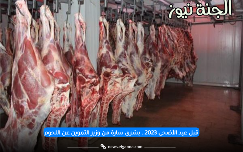 قبل عيد الأضحى 2023.. بشرى سارة من وزير التموين عن اللحوم ورغيف الخبز