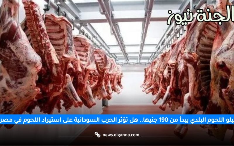 كيلو البلدي بـ 190 جنيه.. أسعار اللحوم في وزارة الزراعة وتأثير حرب السودان على مصر