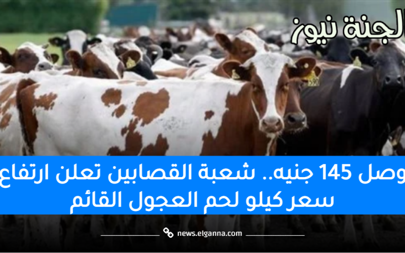 وصل 145 جنيه.. شعبة القصابين تعلن ارتفاع سعر كيلو لحم العجول القائم