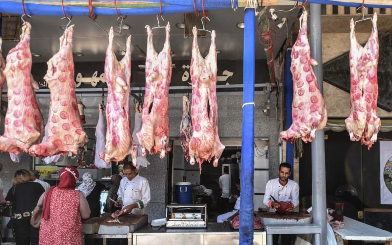 هترخص قبل العيد.. أسعار اللحوم في منافذ وزارة الزراعة وأمان اليوم