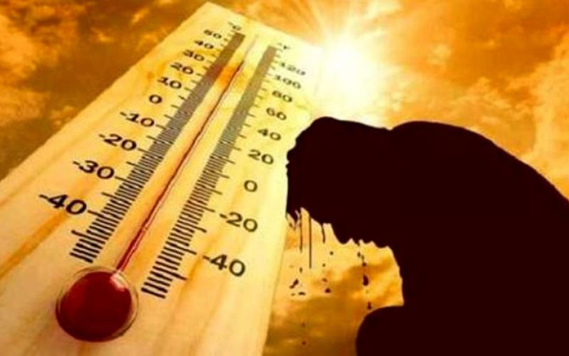 “علشان متاخدش ضربة شمس”.. الأرصاد تكشف حالة الطقس لمدة 6 أيام وتحذر من ظواهر جوية