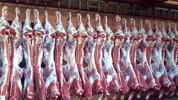 تبدأ من 130 جنيها.. “التموين” تعلن ضخ كميات كبيرة من اللحوم قبل عيد الأضحى