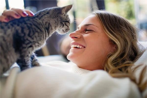 دراسة هولندية تؤكد: القطط تلعب دورا كبيرا في انتقال فيروس كورونا