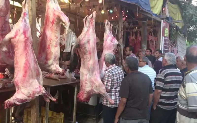 توجيهات عاجلة من “التموين” بشأن المخابز واللحوم في عيد الأضحى