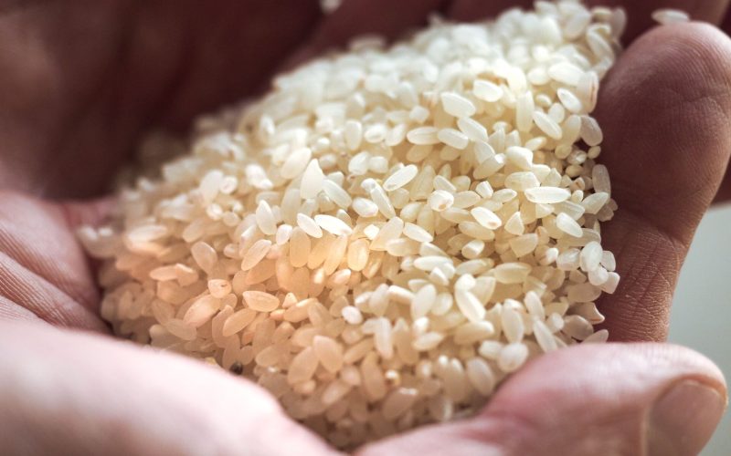 نزل 8 جنيه.. تراجع كبير في أسعار الأرز بالأسواق المصرية بعد استيراده من الخارج