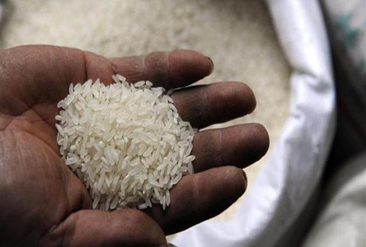 يبدأ من 20 جنيها للكيلو الواحد.. غرفة صناعة الحبوب: استقرار ملحوظ في أسعار الأرز بالأسواق