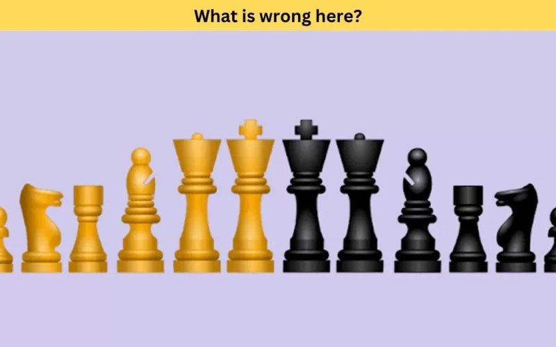«1 ٪ فقط من يستطيعوا حلها».. هل يمكنك اكتشاف الخطأ في قطع الشطرنج خلال 5 ثوانٍ؟