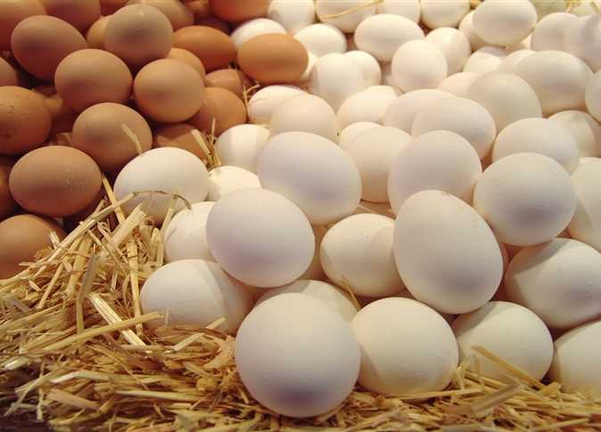 شوف البيضة الواحدة بكام.. أسعار البيض الأبيض والأحمر بعد الزيادة اليوم الثلاثاء