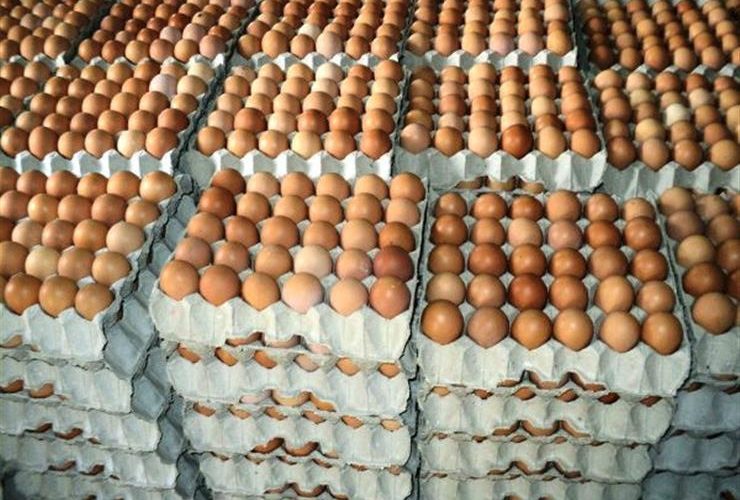 الفراخ باضت والإنتاج كتير.. تراجع أسعار البيض في الأسواق بعد فترة من الارتفاع