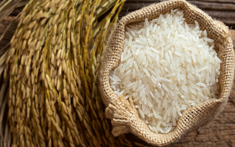 هام للمواطنين.. ضوابط جديدة من التموين لتداول الأرز الحر| تعرف عليها