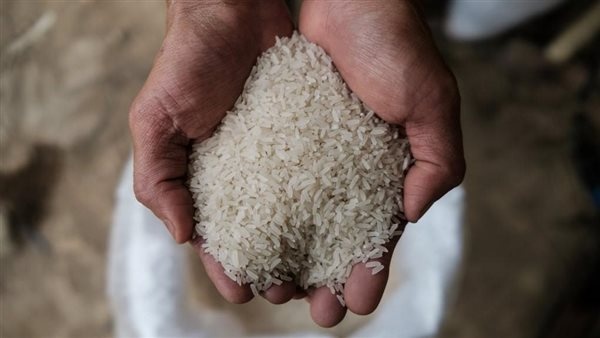 شعبة الأرز تزف بشرى سارة تُسعد ملايين المواطنين