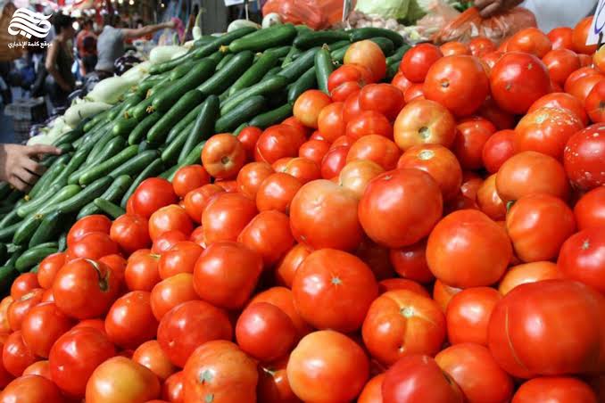 الكيلو يبدأ من 6 جنيهات … أسعار الطماطم تتراجع بحوالي 33% خلال تعاملات اليوم