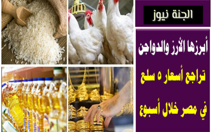 أبرزها الأرز والدواجن .. تراجع أسعار 5 سلع في مصر خلال أسبوع