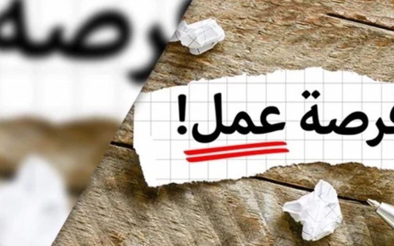 للذكور فقط.. محافظة الجيزة تعلن عن وظائف خالية جديدة| الشروط وطريقة التقديم