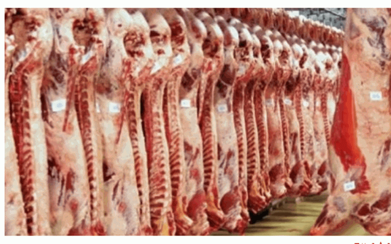 وزارة التموين تكشف عن أسعار اللحوم الطازجة السودانية الجديدة وأماكن بيعها بالمحافظات