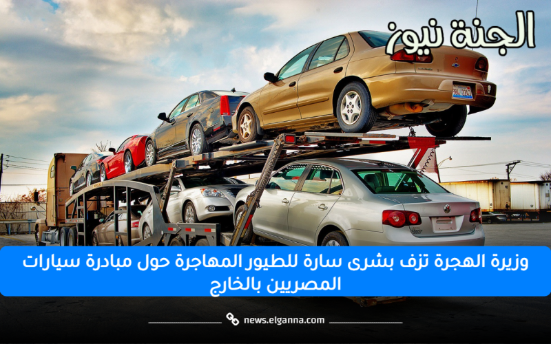 وزيرة الهجرة تزف بشرى سارة للطيور المهاجرة حول مبادرة سيارات المصريين بالخارج