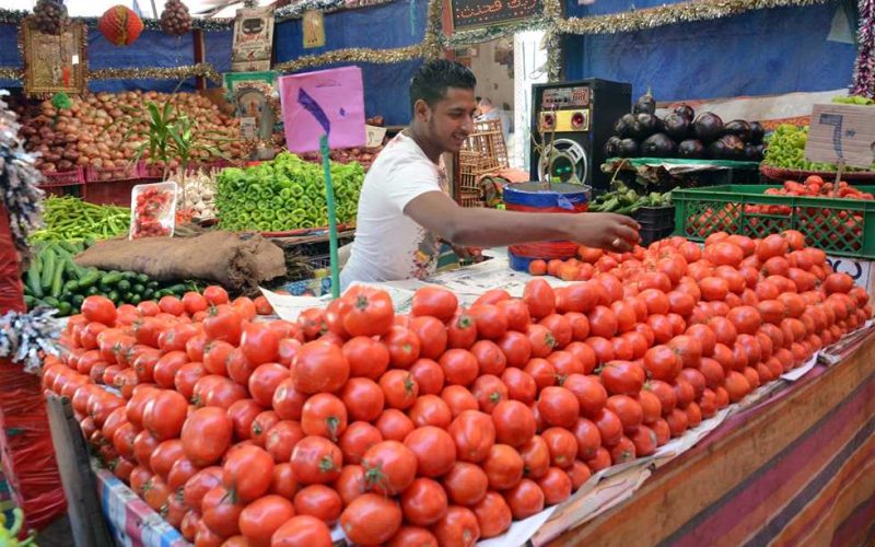مجنونة يا أوطة.. شعبة الخضروات تكشف مفاجأة بشأن موعد تراجع سعر الطماطم