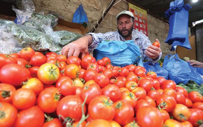 اتجننت رسمي.. ارتفاع أسعار الطماطم يدفع المواطنين إلى البحث عن بدائل