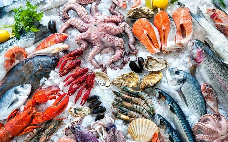 “يتلف خلايا المخ”.. تحذير شديد اللهجة من “البيطريين” بشأن تناول هذا النوع من الأسماك